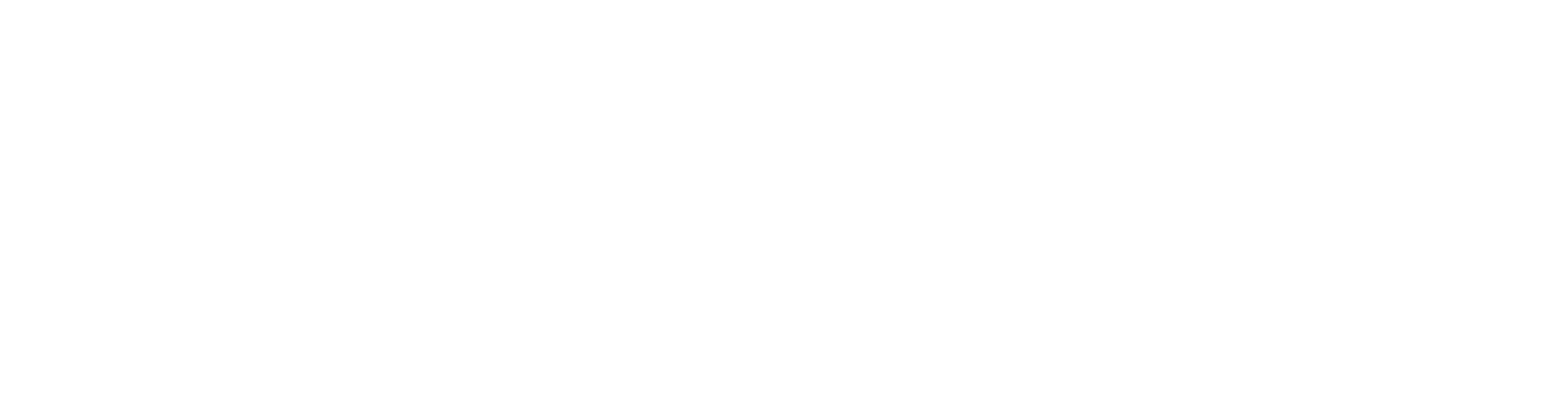 Stiefenhofer_Schriftzug_weiss Stiefenhofer_Schriftzug_weiss